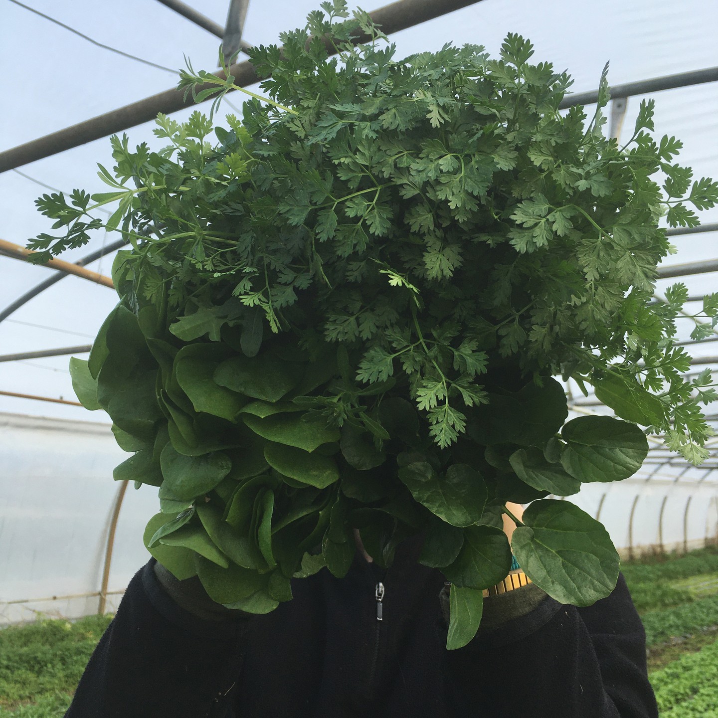 Mish Mash vegetables